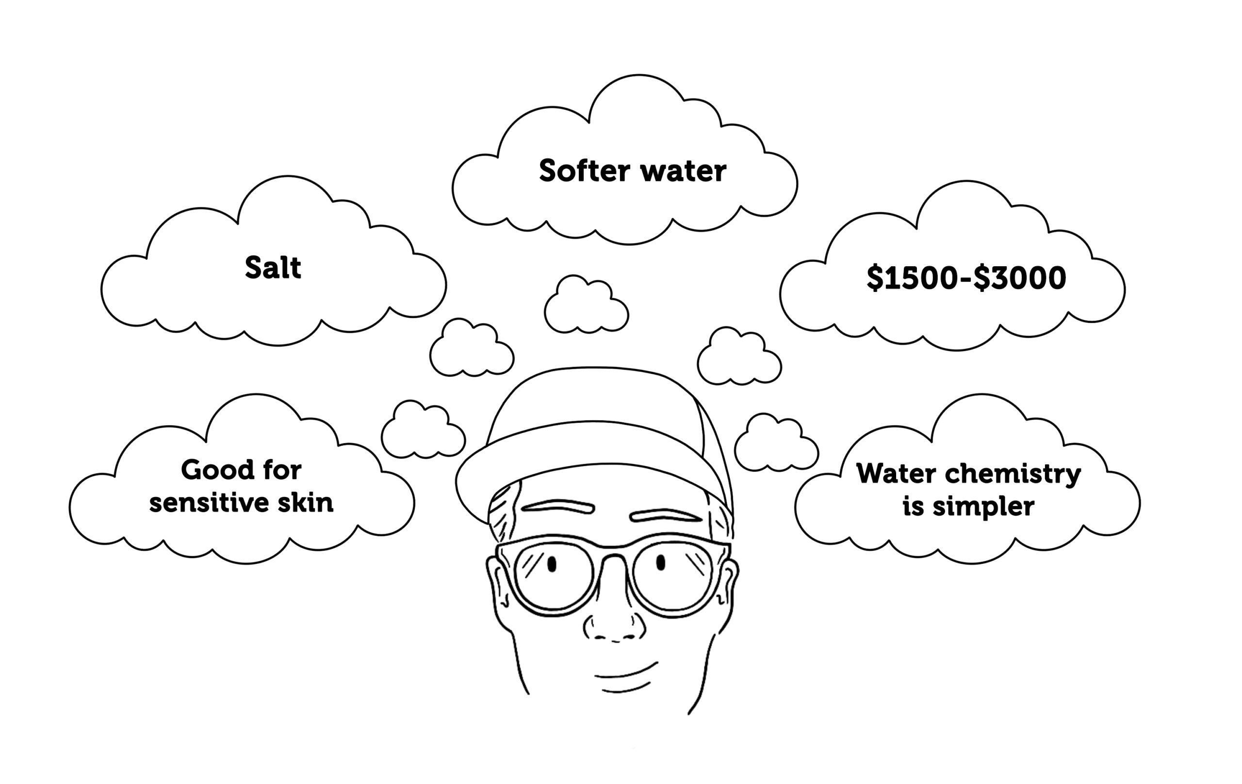 Owner of a pool thinking about salt water chlorinator